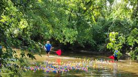 Fall brings festivals, live music to DeKalb County