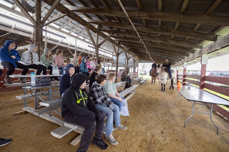 Students from AFC learn about horses in one of 18 different workshops Friday, April 25, 2025, during Ag Expo in Amboy.