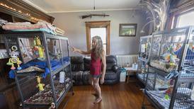 Calamity Jane’s Wildlife Rescue in Amboy facing closure after 29 years 