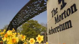 5 Things to Do: New Philharmonic in concert, Discovery Day at Morton Arboretum and more this weekend