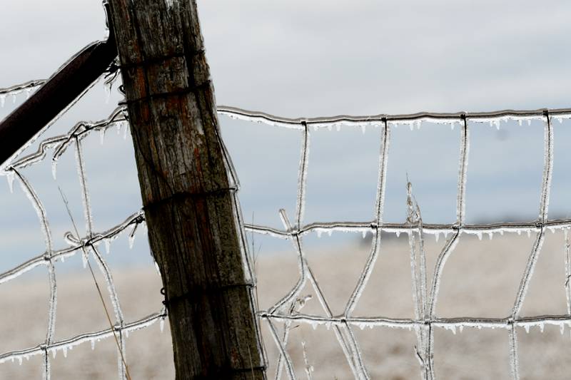 Ice covers a fence Thursday afternoon north of Mt. Morris after freezing rain fell across portions of Ogle County on Wednesday making travel hazardous for motorists and prompting cancellations of evening events.