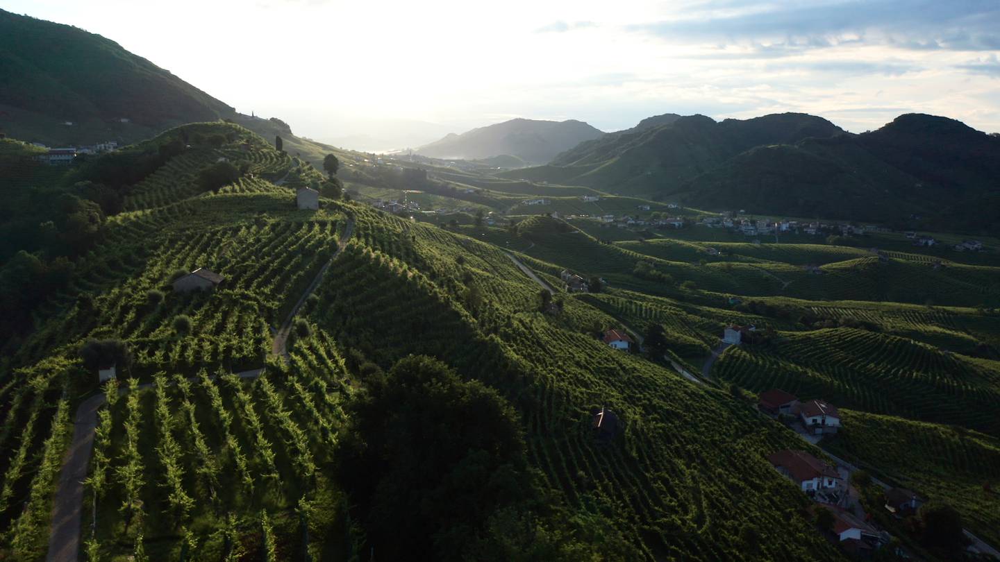 Valdo wine Alba Italy Uncorked