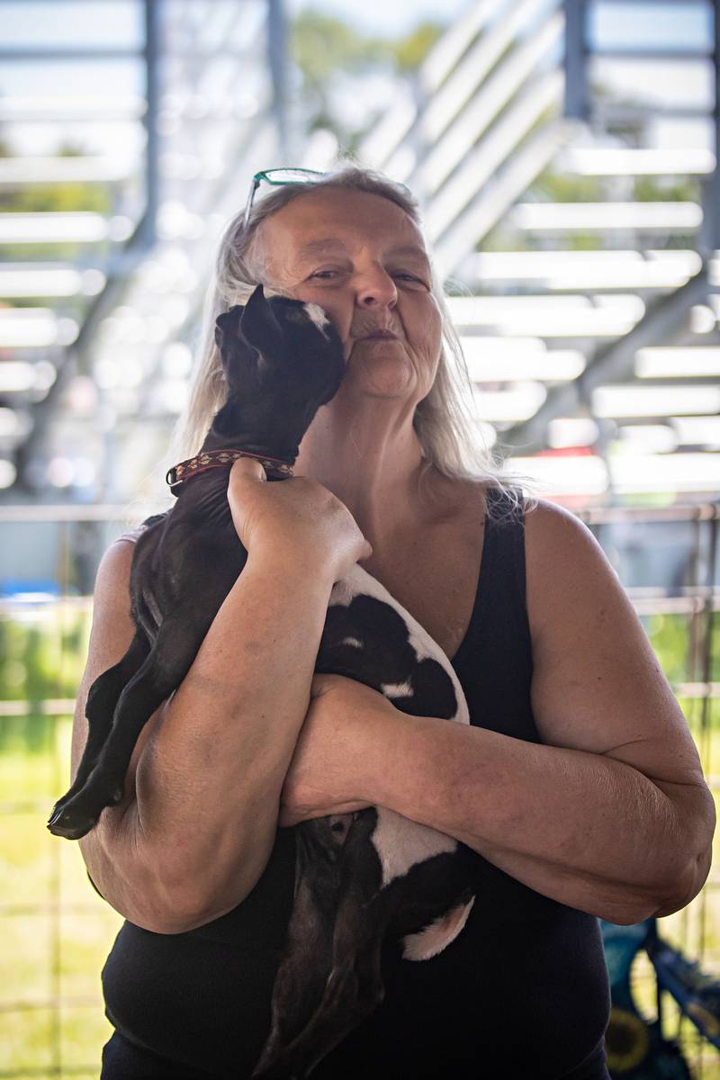 Nada Riley of Chicago hugs a baby goat Sunday, July 31, 2022 at the Lee County 4H fair.