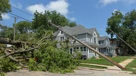 PHOTOS: Storm Damage in Dixon