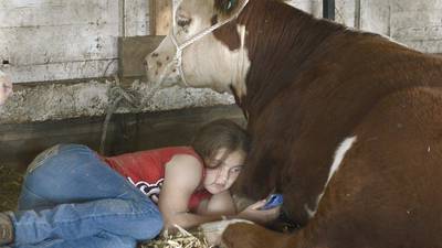 Photos: La Salle County 4-H Fair