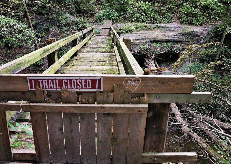Tonti Canyon has been closed for quite some time due to increasing accidents and erosion. The bridge pictured is located at the foot of the canyon; to the right, a large tree has fallen along the pathway with its roots still attached to the worn-out path above.