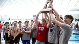  Photos: 2025 IHSA State Boys Swimming and Diving Championships