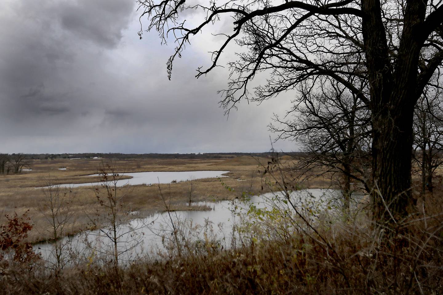 The view from the  McHenry County Conservation District's Lost Valley Visitor Center on Wednesday, Nov. 20, 2024, near Ringwood. According to unofficial election results, voters approved the McHenry County Conservation District’s referendum seeking to increase property taxes.