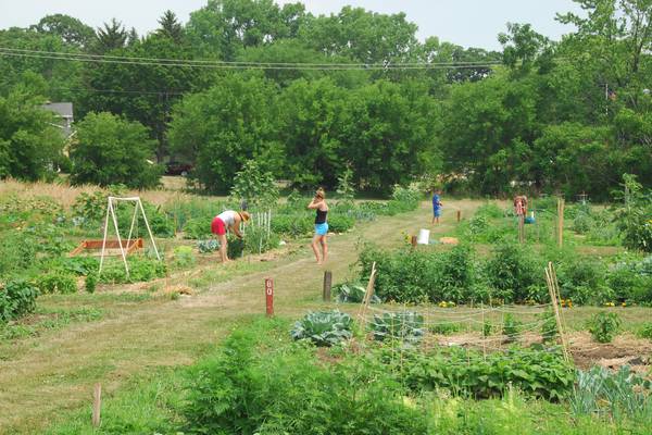 Calling all Green Thumbs: St. Charles Park District garden plots available for rent