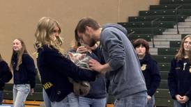 Photos: Coal City celebrates FFA week with the Grundy County FFA