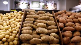 Prairie Grove enacts grocery tax, even with no grocery store