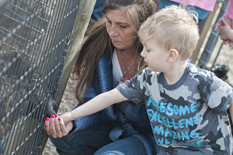 Pam Stafford of Rock Falls helps grandson Brecken Westpfahl, 4, feed a goat Saturday.