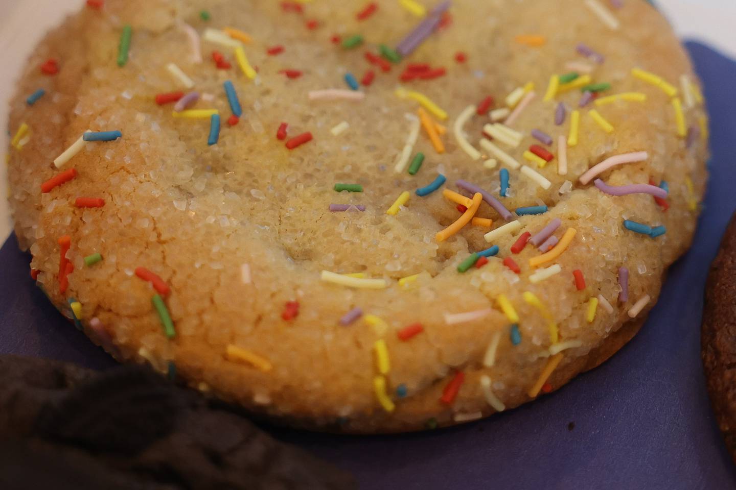 Steve Buresh’s Cookie Store will feature the current favorite Sugar Cookie with sprinkles.