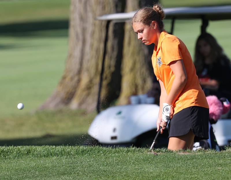 Kaneland’s Kinslee Koster chips onto the second green Tuesday, Sept. 23, 2025, during the Interstate 8 girls golf meet at the Sycamore Golf Club.