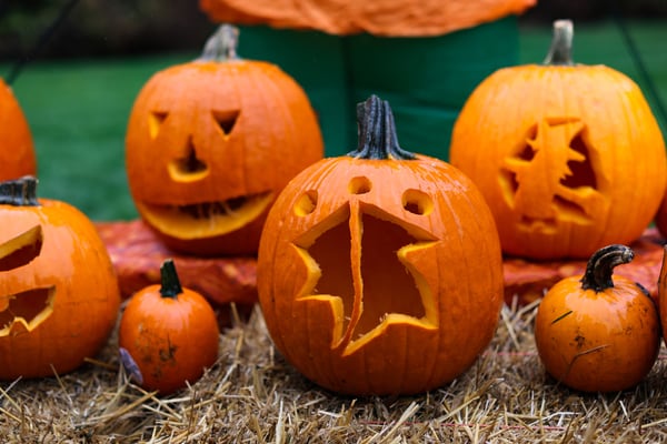 Glen Ellyn Park District to hold Pumpkins on Main