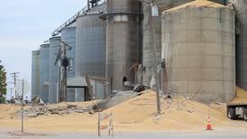 Photos: Grain bin collapses in Martinton