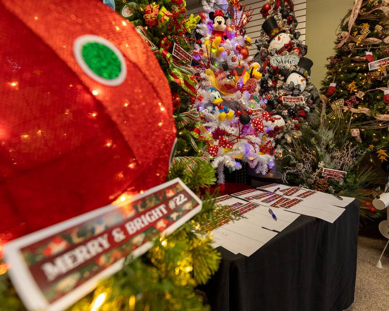 Silent Auction takes place at the annual Christmas in the Valley on Saturday, November 15, 2025 at Upscale Resale in Spring Valley.