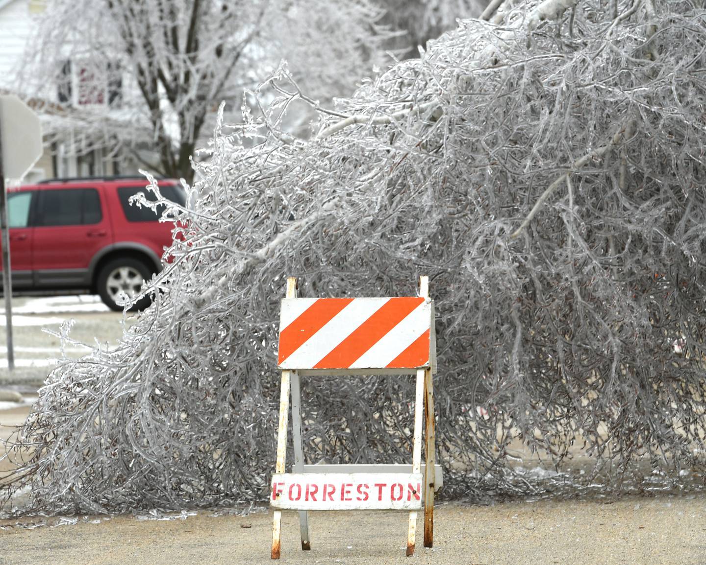 An ice storm, coupled with strong winds, caused numerous electrical outages in Forreston on Thursday. Here, a large ice-covered tree branch blocks a street on Thursday afternoon.