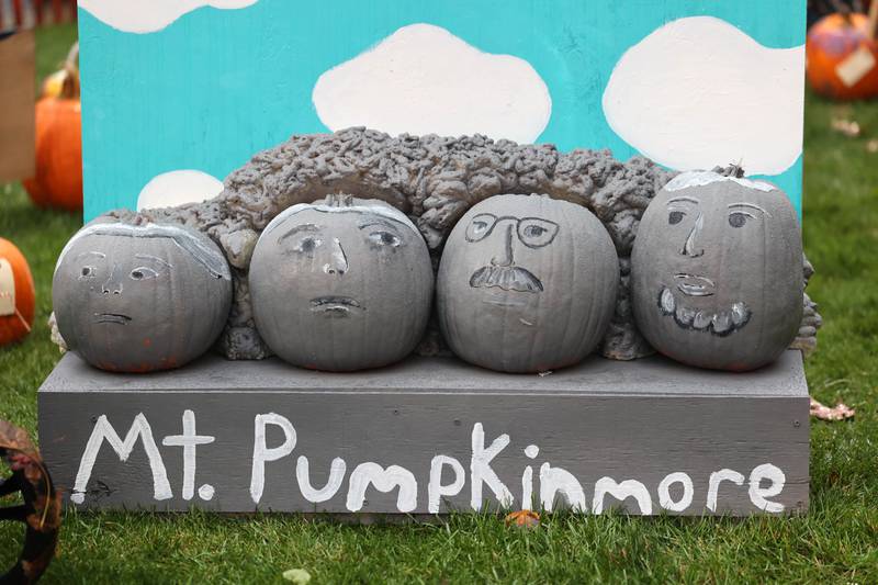 Some of the pumpkins entered in the contest Wednesday, Oct. 25, 2023, on the lawn of the DeKalb County Courthouse during the Sycamore Pumpkin Festival.