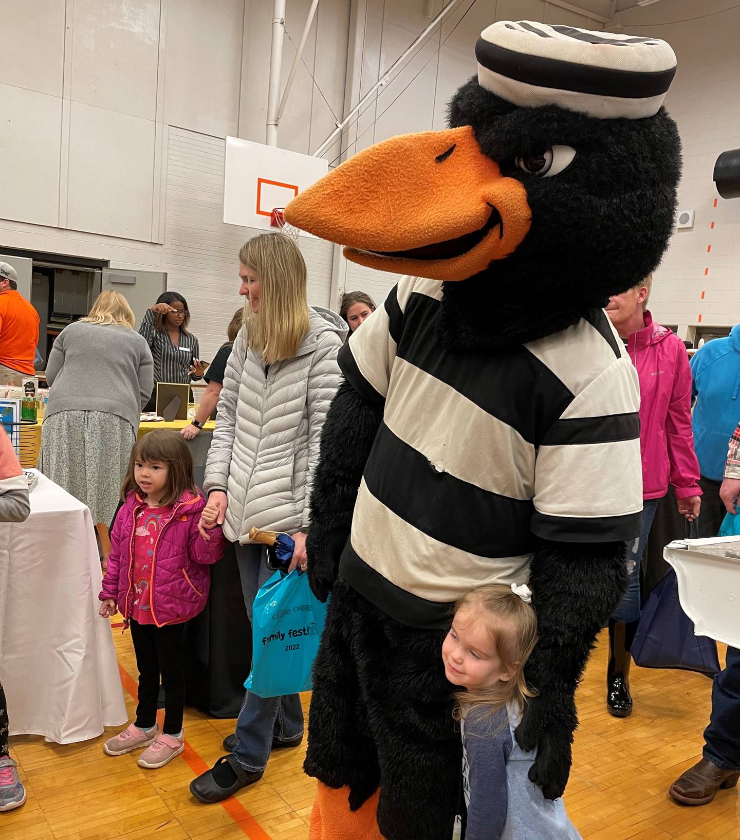 5 Things to do in Grundy County Family Fest, Superhero Run, Junk in