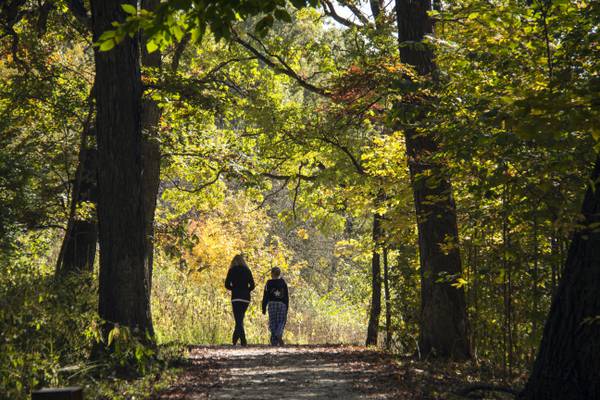 DuPage forest preserve board names top candidate for executive director’s job 