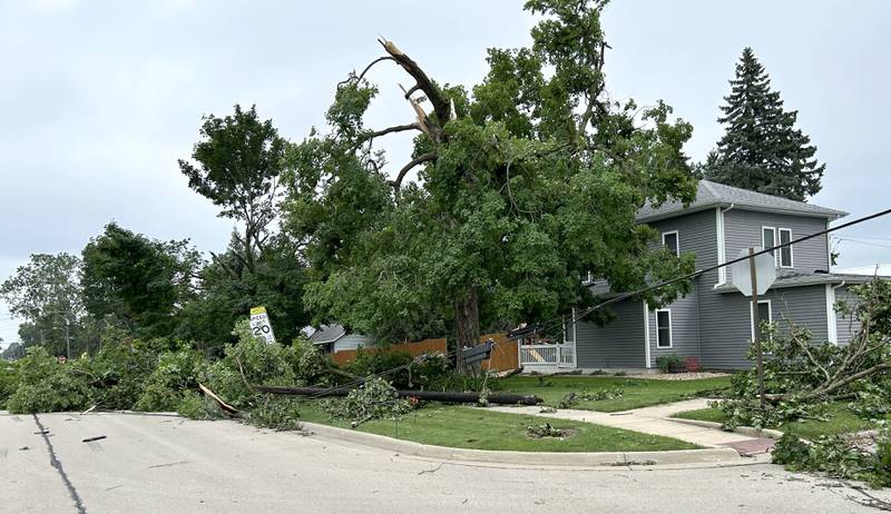 Trees and power lines lay on W. Second Street in Byron, on Tuesday, July 16, 2024. following a strong storm ripped that through the town Monday night.