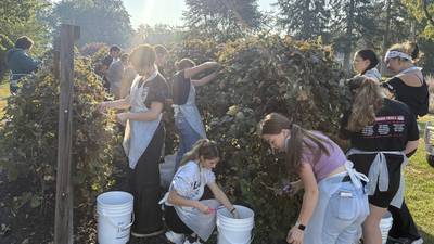 Princeton students have hands-on experience to process grape jelly   
