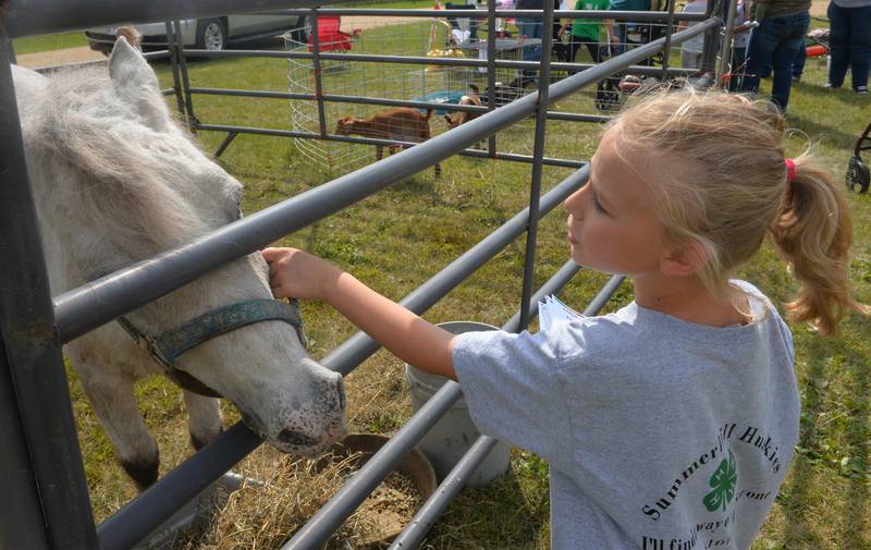 Alana Smith, 8, of Adeline, talks to her pony Boey in his pen during the Summerhill Huskies 4-H Club's petting zoo at BerryView Orchard on Sunday, Sept. 17, 2023. Boey, 33 years old, was one of the animals visitors could see and pet.