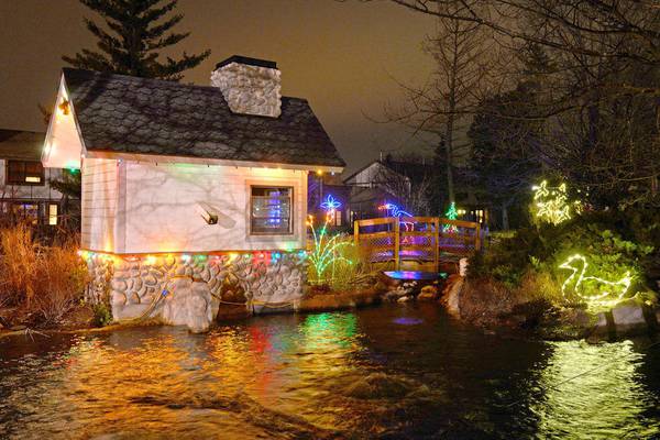 Cosley Zoo’s Festival of Lights, Christmas tree sale to run through December 