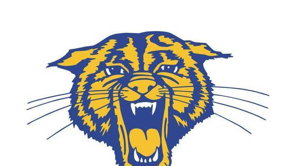 Somonauk cheer heading to state; Raiden Terry wrestles to regional title: The Times Saturday Roundup