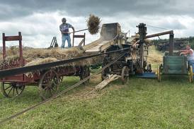 Photos: Bos Brothers Farm Threshing Bee