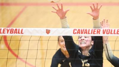 Season ends for ‘special’ Sycamore group with sectional loss to Washington