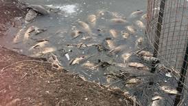 Why were scores of fish found dead in a McHenry County Conservation District preserve?