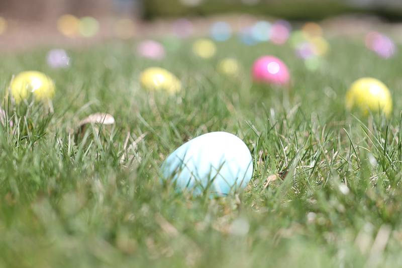 The Table held their annual Easter egg hunt on Saturday, April 8, 2023 in Joliet.