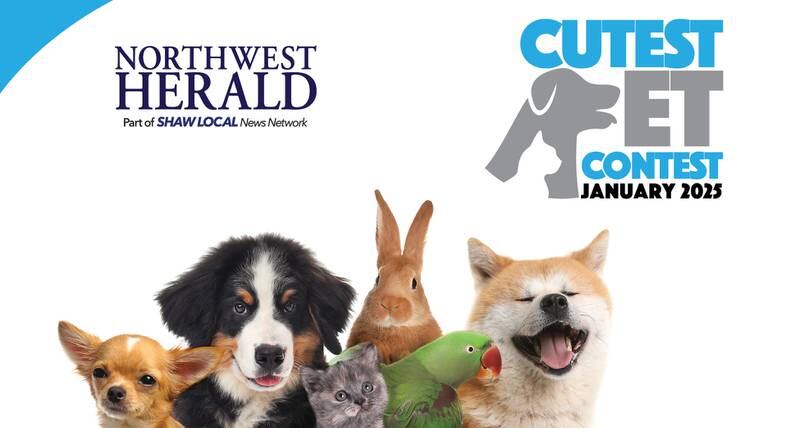 NWH Jan Pet promo