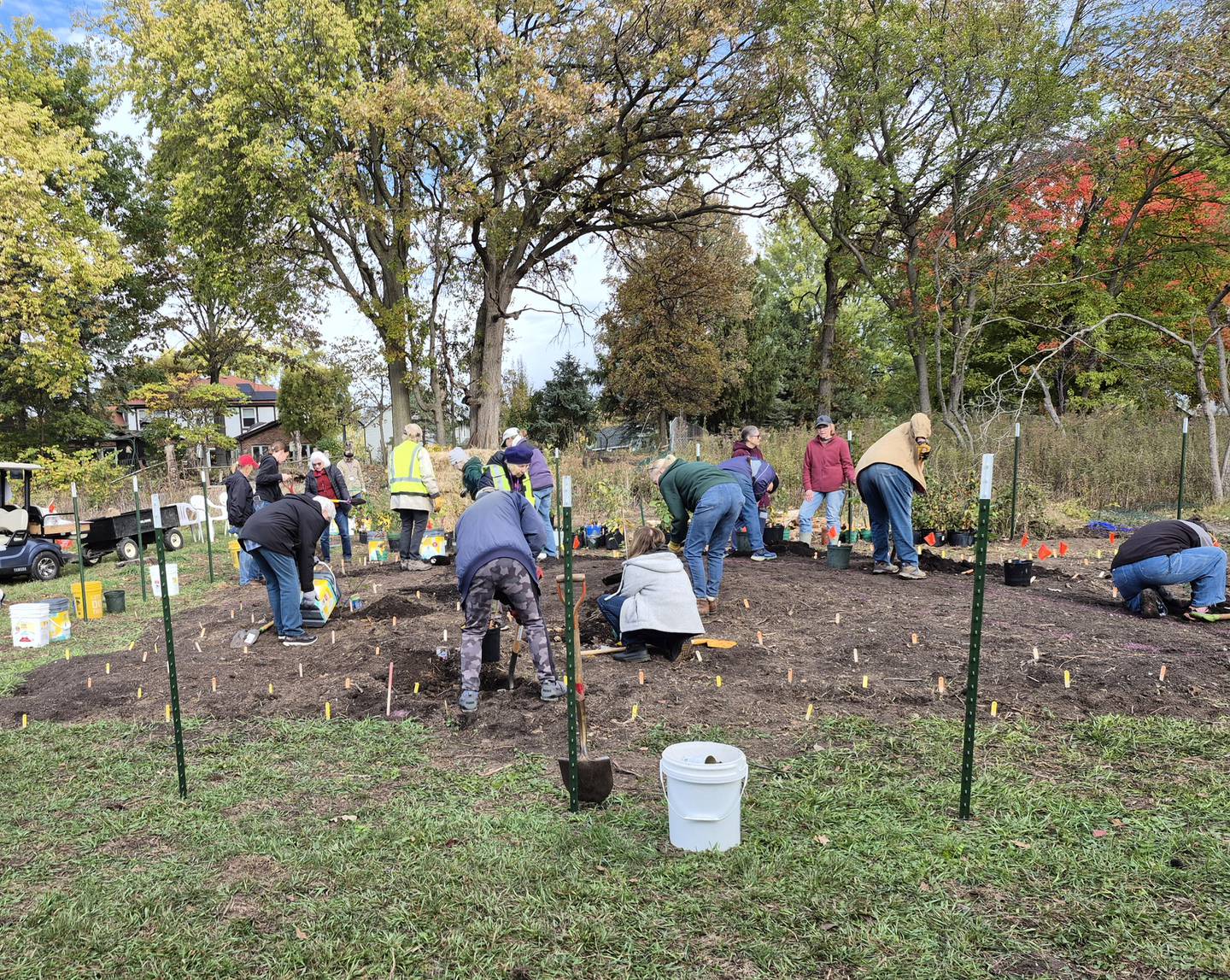 Dozens of volunteers help the Algonquin Garden Club install over 200 plants and trees for Kane County's first "mini-forest" on Oct. 25, 2025 at the Dixie Briggs Fromm Conservation Area.