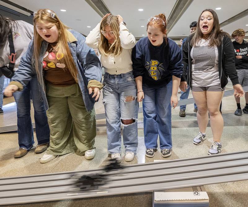 Polo students Zoie Wyatt (left), Avery Faivre, Alivia Schmidt and Kirstin Romero react as their car races another Friday, April 26, 2024 during SVCC’s Manufacturing Day.