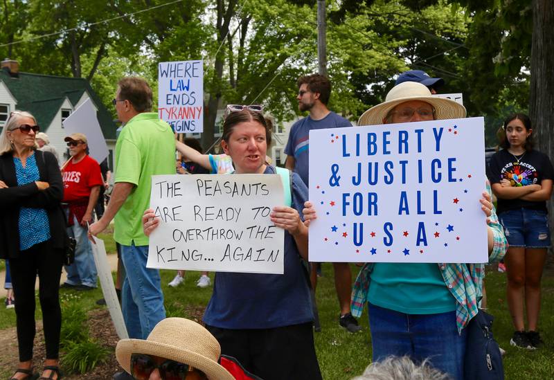 There was a variety of signs at the No Kings protest in Yorkville on Saturday, June 14, 2025.