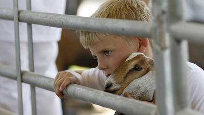 Animals beat the heat as McHenry County Fair gates open