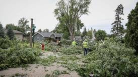 McHenry County tallies damage from weekend storms; special debris collections planned
