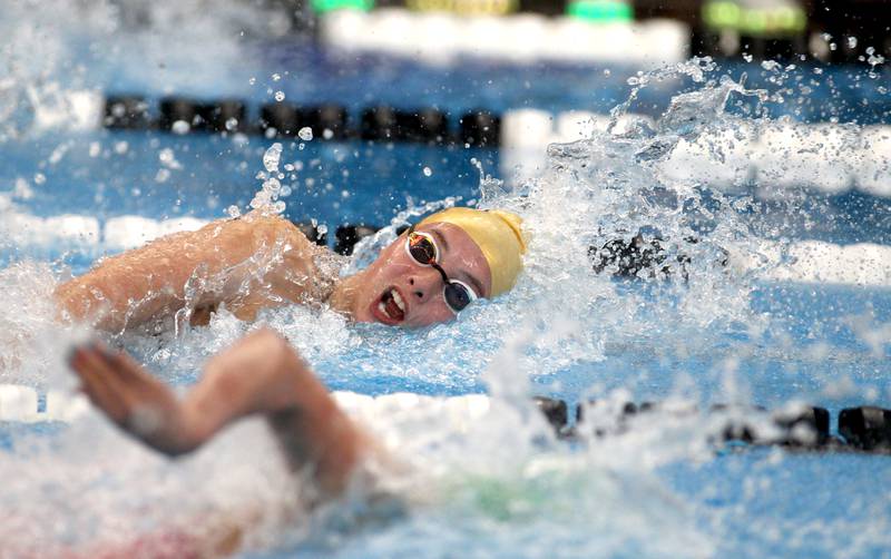 Sterling’s Madison Austin competes in the 100-yard freestyle during the IHSA Girls State Championships preliminaries at the FMC Natatorium in Westmont on Friday, Nov. 11, 2022.