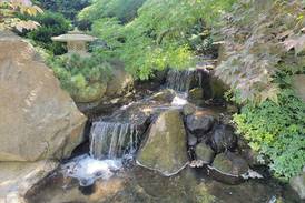 11 destinations for exciting day trips from northern Illinois this spring