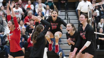 Girls volleyball: 5 storylines to watch in McHenry County in 2025
