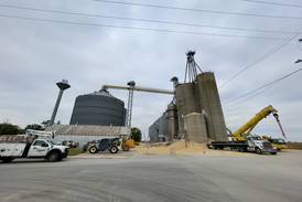 Grain bin collapses in Martinton