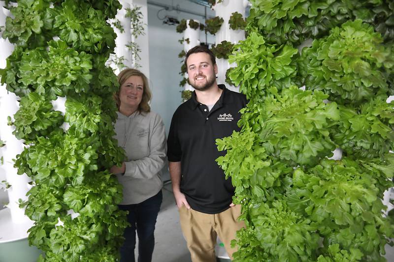 Diana Geudtner and Nic Geudtner of Living Roots Farm on Thursday, Jan. 8, 2026, at the Fox Lake aeroponic, hydroponic, and microgreen farm. The farm has been selling it’s produce to area restaurants and has just started retail hours for people to come in and buy produce and micro-greens.