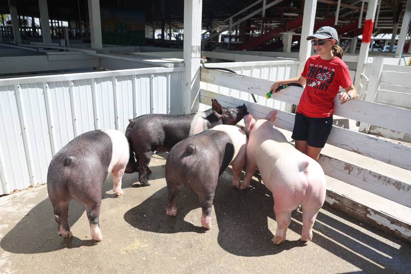 Hope Emmerich waters Frieders Family Farms’ swines after a competition at the Grundy County 4-H Fair on Sunday, July 30 in Morris.