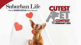 Suburban Life's February 2025 Cutest Pet