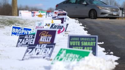 Will County primary voter turnout up, driven mainly by contested county races, referendums