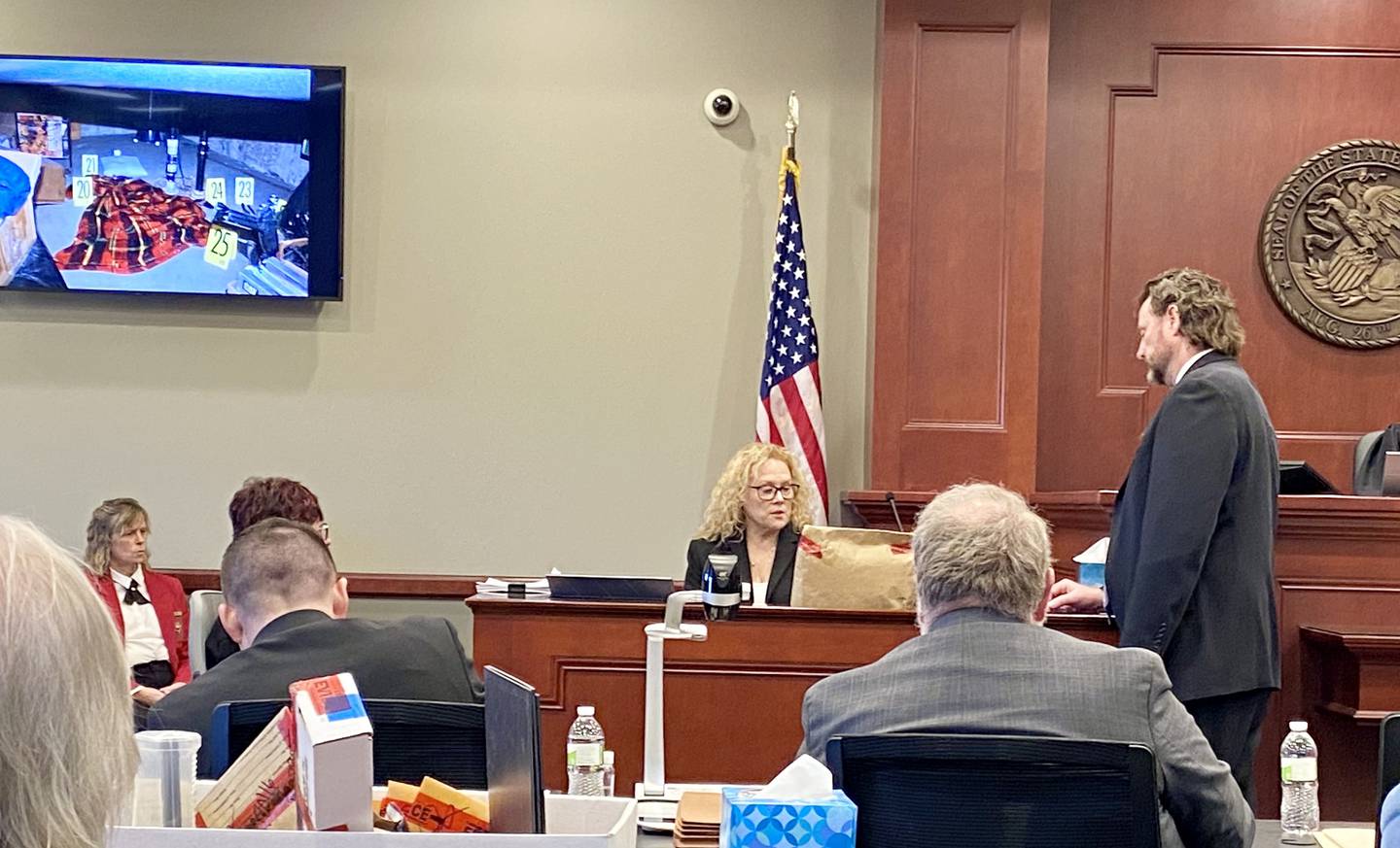 Lead prosecutor Scott Schwertley (right) speaks to now retired DeKalb County sheriff's Detective Laurie Lane, in the witness stand, as Lane describes a piece of evidence she helped collect from the rural Sycamore home of Patricia Wilson and Robert Wilson the days after the Wilsons were found beaten to death on Aug. 15, 2016. Lane testified on Day 3 of the double murder trial of Jonathan D. Hurst on Jan. 27, 2025. Hurst is charged in the Wilson killings. The screen shows the crawl space in the basement laundry room of the Wilson home, where police found a blanket, pillow, two knives and soda cans near where Patricia's body lay.