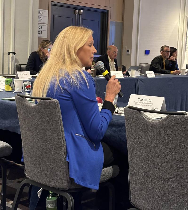 State Sen. Sue Rezin, R-Morris, has served as co-chair of the State Legislatures’ Energy Supply Task Force since 2022.